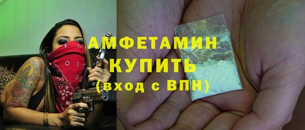 дживик Горняк