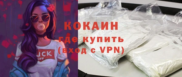 дживик Горняк