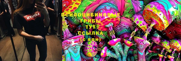 дмт Горнозаводск
