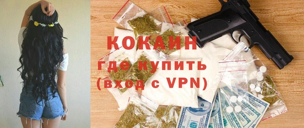 дживик Горняк