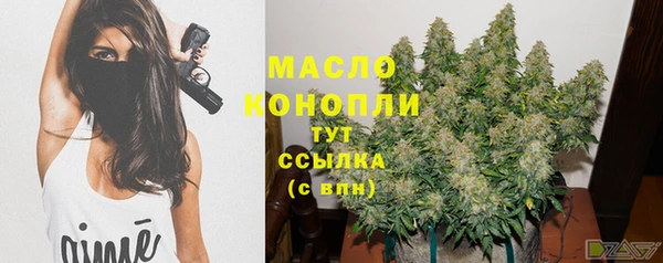 дмт Горнозаводск