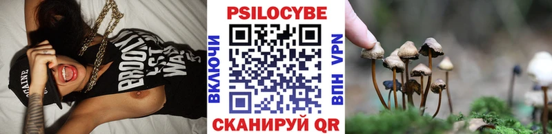 Купить Белоусово Псилоцибиновые грибы Psilocybe